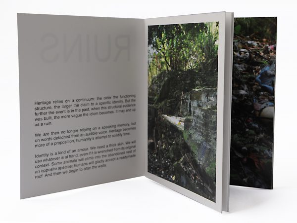 Plain/Ruins - Image 2