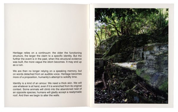 Plain/Ruins - Image 4